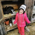 phoca_thumb_m_k.k.  1 Fotogalerie
